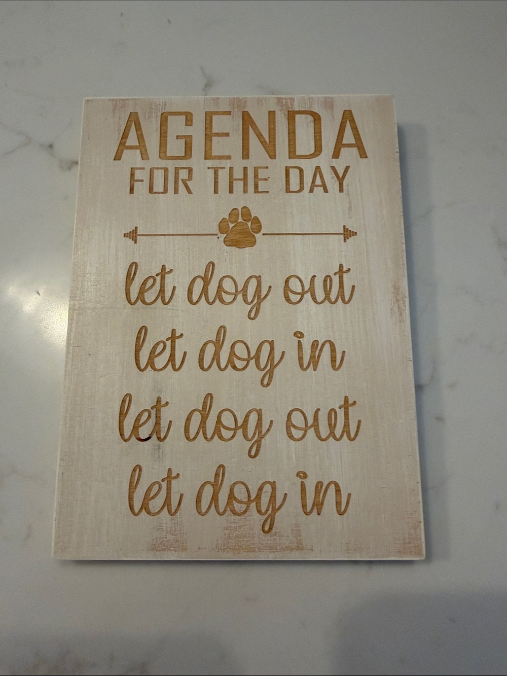 AGENDA FOR THE DAY